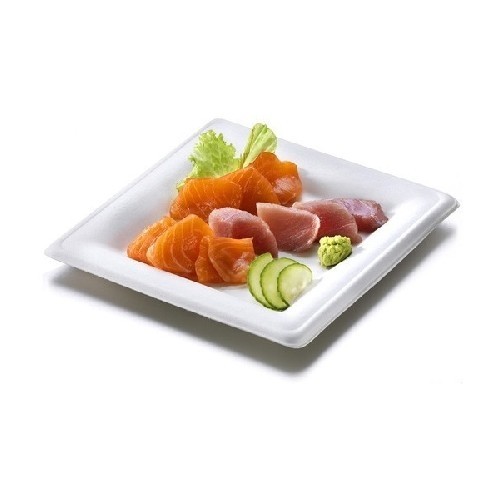 ASSIETTE EN CANNE A SUCRE KARO DIM. 16X16X1.5CM. BOÎTE DE 500 PIÈCES