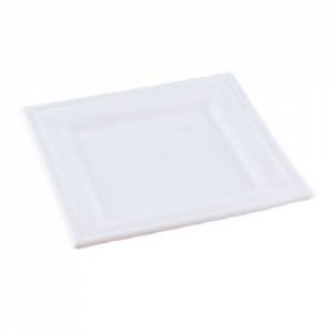 SUGAR CANE PLATE KARO DIM. 20X20X1.5CM. BOX OF 500 PIECES