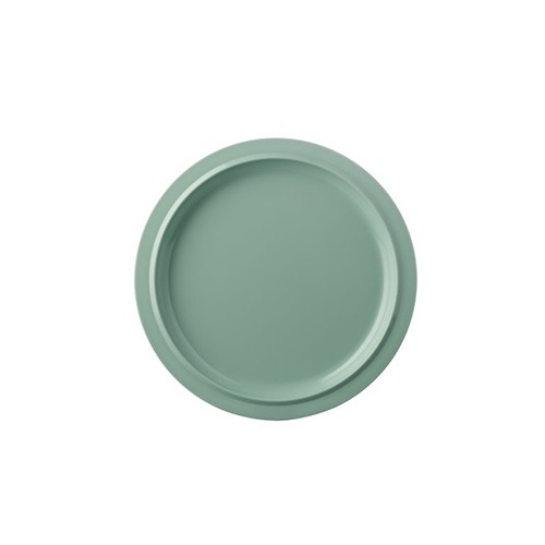 ASSIETTE PLATE P250 DIAM. 25CM. COULEUR RETRO VERT BASIC - MEPAL