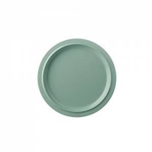 PLATTE FLACH P250 DURCHM. 25CM. FARBE RETROGRÜN BASIC - MEPAL