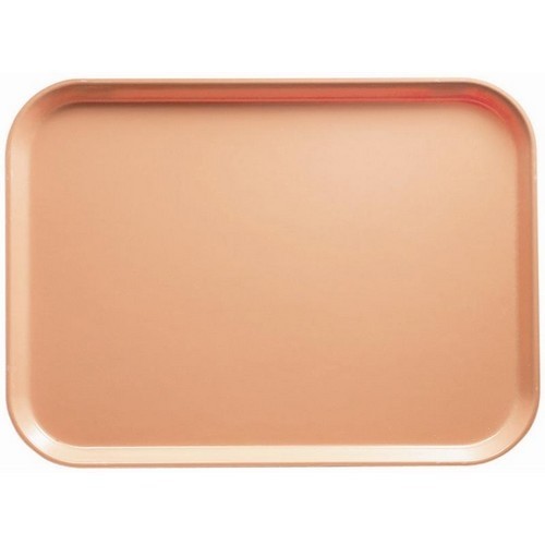 PLATEAU 'CAMTRAY' 1/2 GN. 32,5X26,5CM. COULEUR 117 CAMBRO PÊCHE FONCÉE