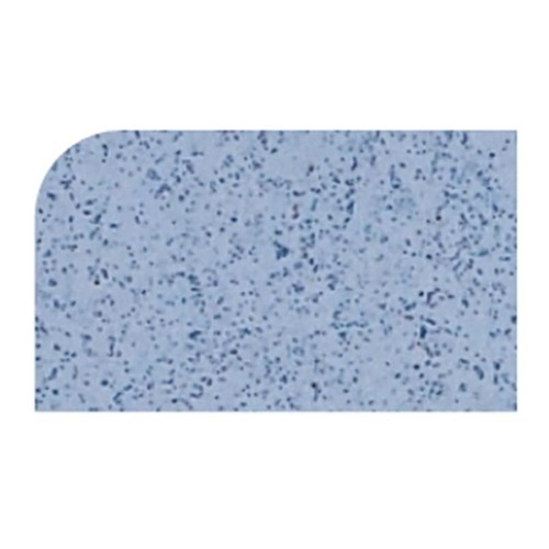 TRAY POLY VERSA TRAY 1/1 GN DIM. 53x32.5 CM. COLOR A36 SPECKLED BLUE