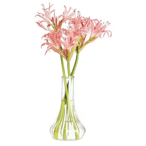 Bloemenvaas helder polycarbonaat hoogte 15,2cm. diam. 8,8cm. Cambro