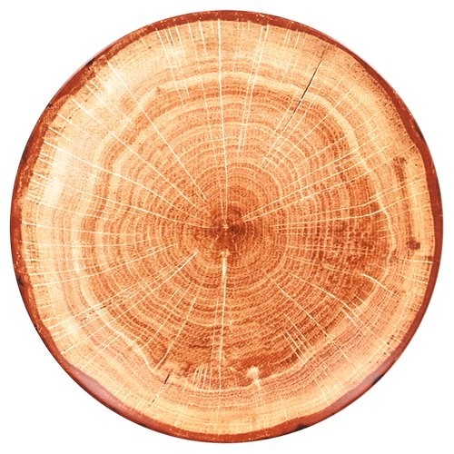COUPE PLANCHE PLATE DIAM. 29CM. COULEUR MARRON BOIS WOODART RAK PORCELAINE