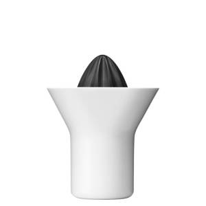 Citruspers inh. 0,33l. wit Rig-Tig