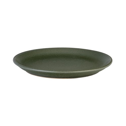 ASSIETTE COUPE GRANDE 24X2,5CM. GRADESº VERTESº PAR JORIS BIJDENDIJK