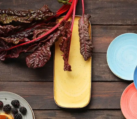 Nova Saturno Jaune Nature