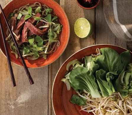 Churchill Stonecast 'Spiced Orange'