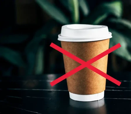 Van disposable naar reusables