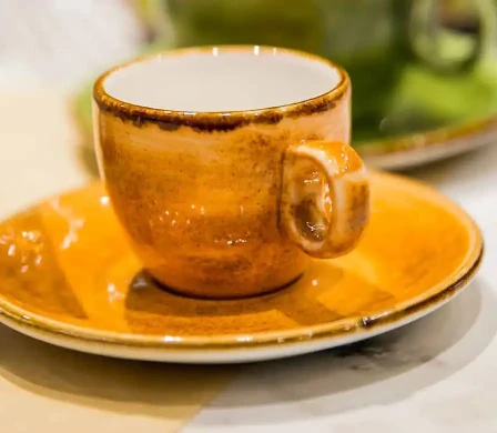 Q Authentic 'Jersey Oranje'