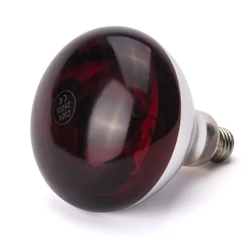 Infraroodlamp warmtelamp e27 250w. rood glas