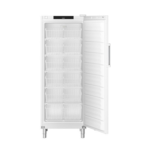 GEFRIERGERÄT FFFSG 6501 PER FORMA NCE LIEBHERR