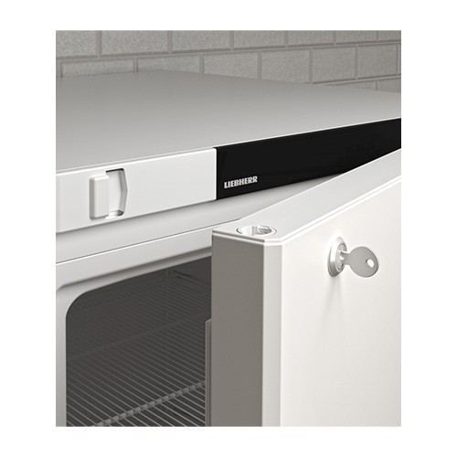 KÜHLSCHRANK FRFVG 4001 FORMA LIEBHERR