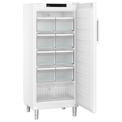 GEFRIERGERÄT FFFSG 5501/740 PER FORMA NCE LIEBHERR