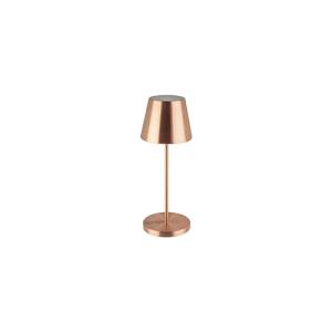 LAMPE MERLE DIAM. 11CM. <span translate="no"><span translate="no">HG</span></span> T. 30CM. ACHETEUR