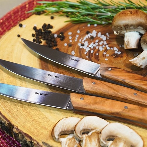 Gift box steak knife 4-piece GRADESº by Joris Bijdendijk stainless steel 18/0