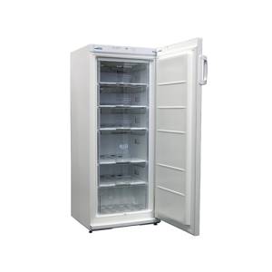 Gewerblicher Gefrierschrank F 22 W, Abmessungen 600 x 625 x 1450 mm. 230 V/140 W, Nordcap