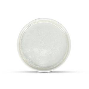 Teller flach, Durchmesser 13,5 cm, Höhe 2 cm, mattweiß, Ceres F2D