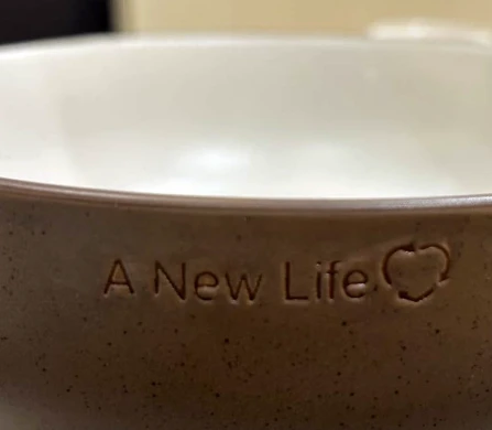 Q Authentic « Une nouvelle vie »
