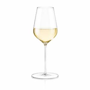 Wijnglas Tasting inh. 47cl. Galileo Paradox