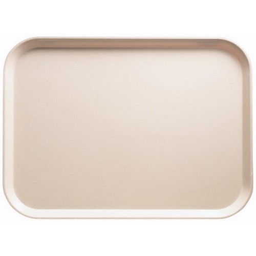 PLATEAU EURONORM 'CAMTRAY' DIM. 53X37CM. COULEUR 106 CAMBRO PÊCHE CLAIR