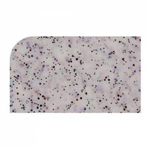 TRAY POLY VERSA TRAY 1/1 GN DIM. 53x32.5 CM. COLOR A83 GRANITE